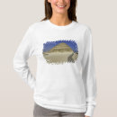Buscar imhotep camisetas Faraón