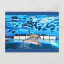 Buscar delfín postales Delfines