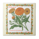 Buscar maravilla azulejos Jardín