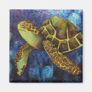 Buscar tortuga imanes Tortuga de mar