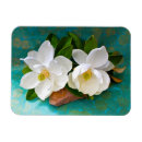 Buscar patio imanes Flor