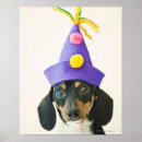 Buscar humor animal posters Naturaleza
