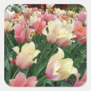 Buscar tulipanes pegatinas Amarillo