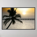 Buscar llave de la florida posters Agua