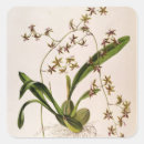 Buscar flores coloreadas pegatinas Botánico