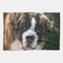 Buscar perros paños de cocina Foto