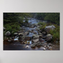Buscar el fluir posters Naturaleza