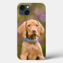 Buscar raza del perro fundas Para ella