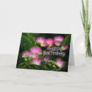 Buscar mimosas tarjetas Floral