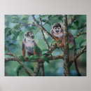 Buscar monos posters General y unisex