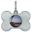 Buscar palmeras collares Para mascotas