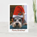 Buscar ronquido tarjetas Perro