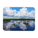 Buscar florida everglades imanes Naturaleza