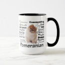Buscar pomeranian Lindo