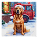 Buscar dogo posters General y unisex