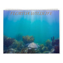 Buscar vida calendarios Tropical