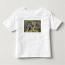 Buscar torres del paine camisetas Parque