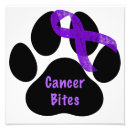 Buscar cancer fotografía Conciencia sobre el cáncer