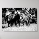Buscar arado posters Caballo