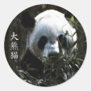 Buscar oso panda pegatinas Pandas
