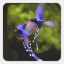 Buscar pájaros en vuelo pegatinas Mosca