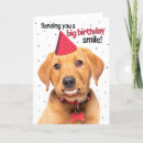 Buscar zorro feliz tarjetas General y unisex