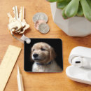 Buscar perrito de oro llaveros Animal