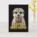 Buscar suricata tarjetas Lindo