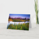 Buscar snake tarjetas Pantano