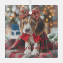 Buscar beagle adornos Navidades