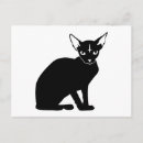 Buscar gato malvado postales Gatito