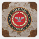Buscar insignias militares pegatinas Usmc col 3d