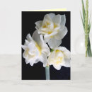 Buscar flores cristianas tarjetas Escrituras