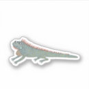 Buscar iguanas Para todos