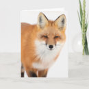 Buscar zorro rojo tarjetas Invierno