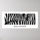 Buscar equus decoracion Fauna