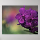 Buscar profundidad del campo posters Follaje