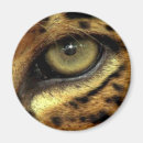 Buscar jaguares imanes Felino
