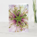 Buscar amor idaho Flor
