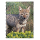 Buscar lobo gris libretas Naturaleza