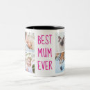 Buscar dos tazas Madre