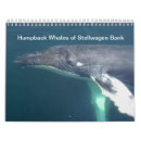 Buscar ballenas calendarios Humpback