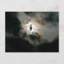 Buscar zapatillas postales Para todos