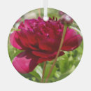 Buscar terciopelo adornos Flores