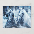 Buscar caballo blanco postales Invierno