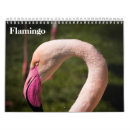 Buscar flamingo calendarios Flamencos