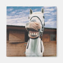 Buscar cabeza de caballo imanes Parte del cuerpo animal