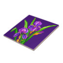 Buscar iris púrpura azulejos Violeta