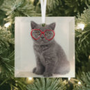 Buscar gafas adornos Gatito