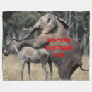 Buscar elección 2014 Obama